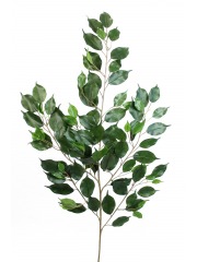 Feuille artificielle de ficus exotica
