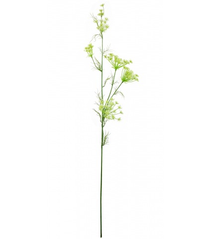 Daucus carota artificiel