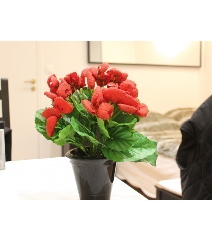 Calcéolaire artificielle rouge