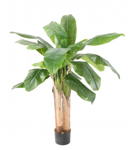 Bananier artificiel à trois troncs 