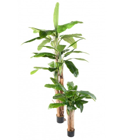 Bananier artificiel à trois troncs 