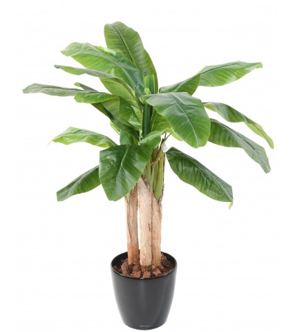 Bananier artificiel à trois troncs 