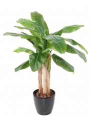 Bananier artificiel à trois troncs 