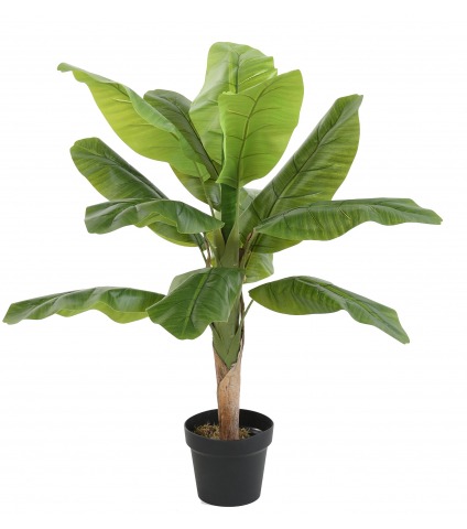 Bananier artificiel pousse