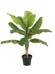 Bananier artificiel pousse