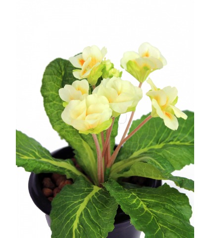 Primevère artificielle blanche et jaune