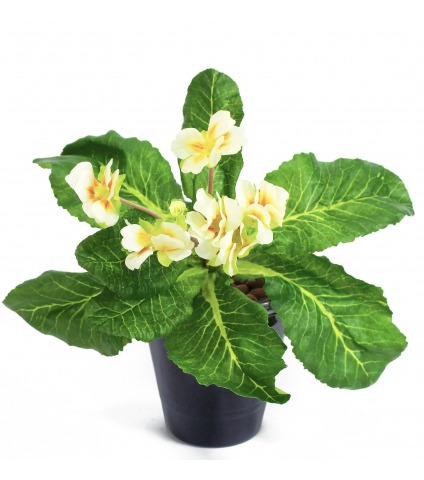 Primevère artificielle blanche et jaune