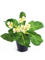 Primevère artificielle blanche et jaune