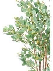 Eucalyptus artificiel baies