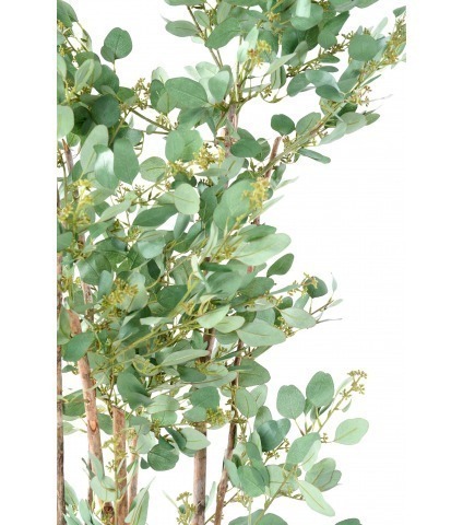 Eucalyptus artificiel baies