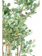 Eucalyptus artificiel baies