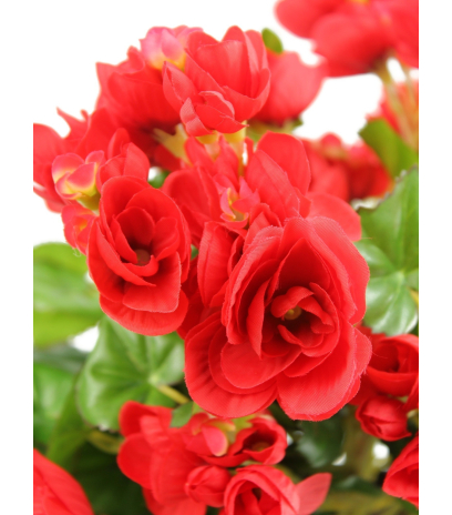 Bégonia artificiel rouge