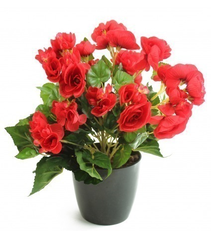 Bégonia artificiel rouge