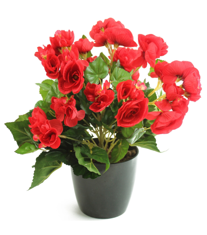 Bégonia artificiel rouge