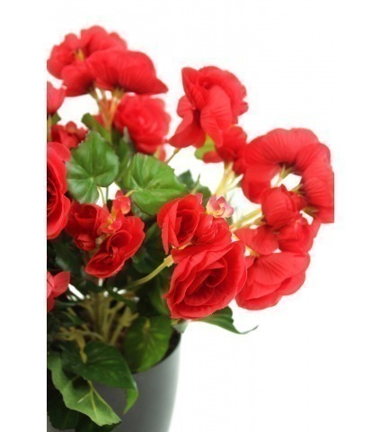 Bégonia artificiel rouge