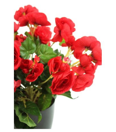 Bégonia artificiel rouge