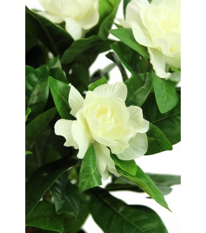 Bégonia artificiel blanc