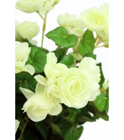 Bégonia artificiel blanc