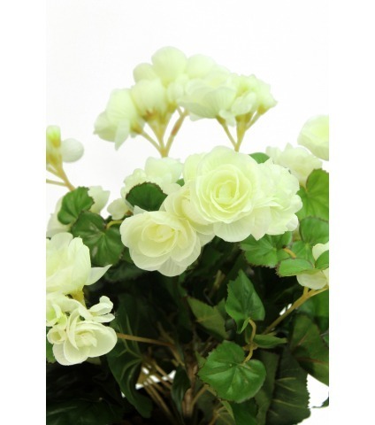 Bégonia artificiel blanc