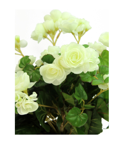 Bégonia artificiel blanc