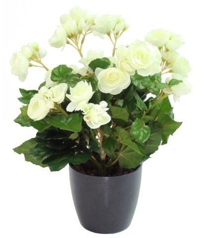 Bégonia artificiel blanc