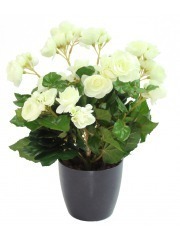 Bégonia artificiel blanc