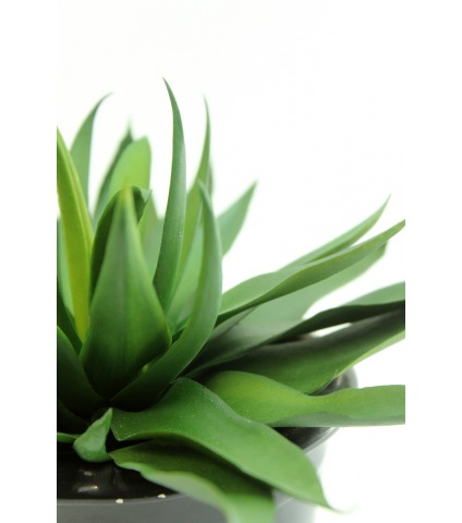 Agave vert artificiel
