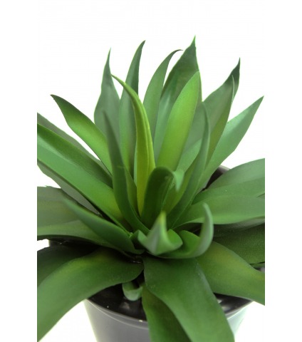 Agave vert artificiel