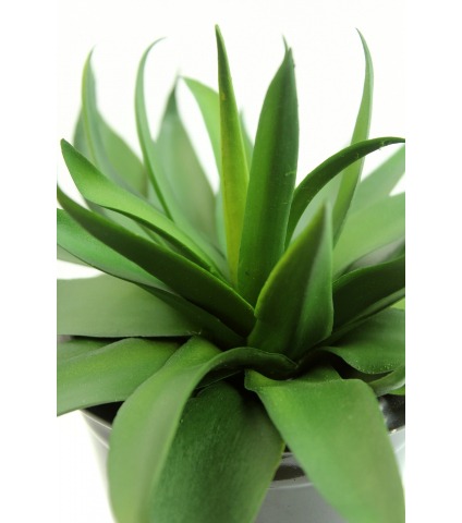 Agave vert artificiel
