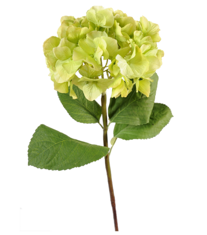 Tige d'hortensia artificielle verte et jaune