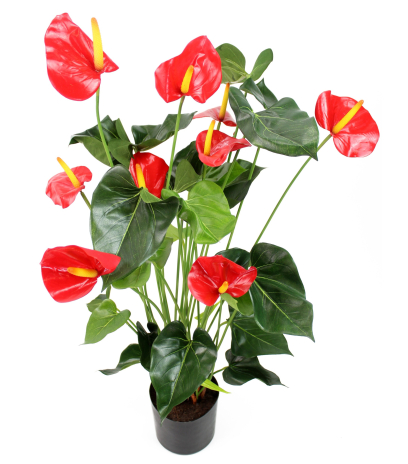 Grand anthurium artificiel