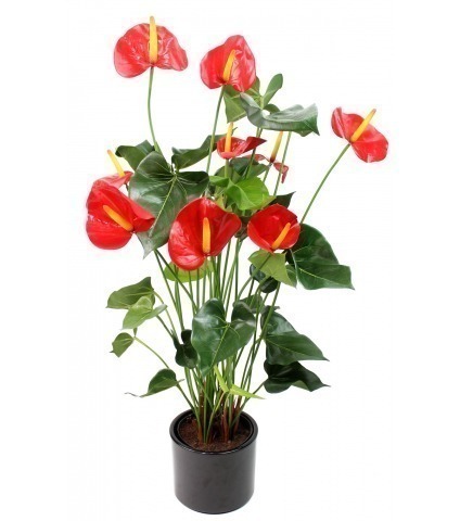 Grand anthurium artificiel