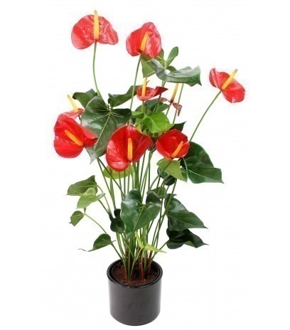 Grand anthurium artificiel