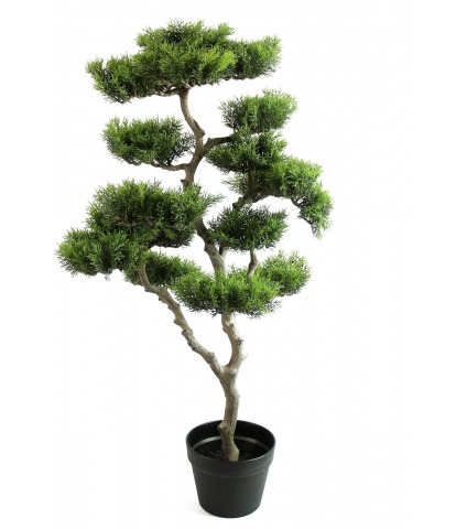 Bonsaï artificiel nuage