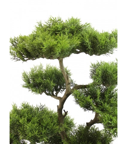 Bonsaï artificiel nuage