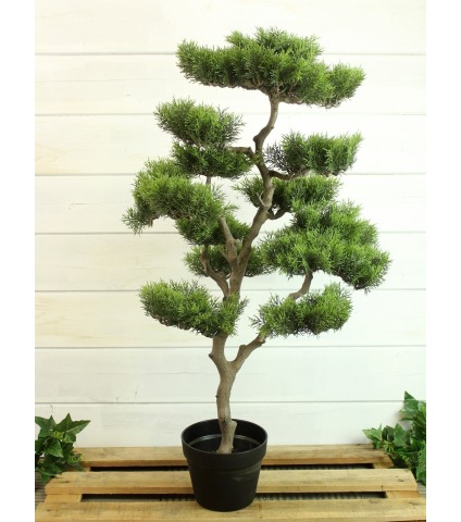 Bonsaï artificiel nuage