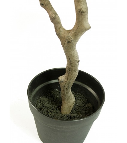 Bonsaï artificiel nuage