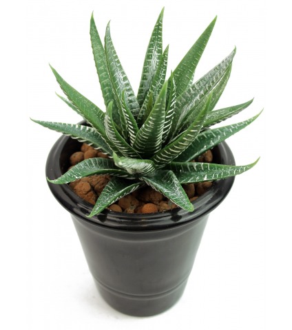 Aloe artificiel vert et blanc