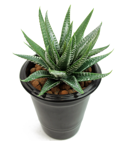 Aloe artificiel vert et blanc