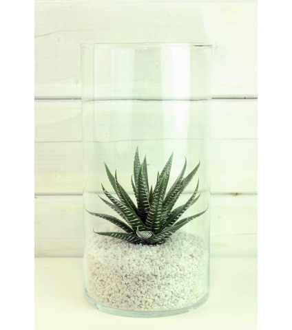 Aloe artificiel vert et blanc