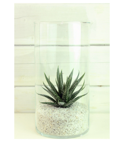 Aloe artificiel vert et blanc