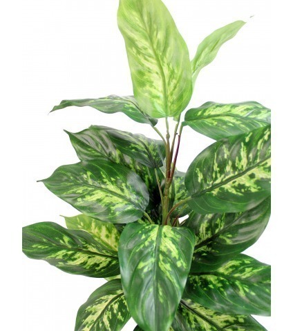 Dieffenbachia artificiel panaché