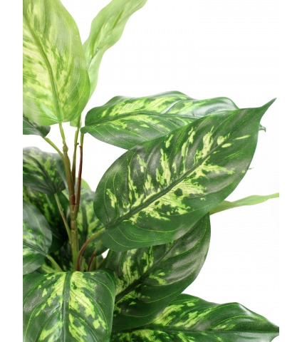 Dieffenbachia artificiel panaché