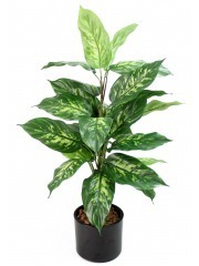 Dieffenbachia artificiel panaché