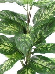 Acheter des Fausse plante Dieffenbachia LEXUAN, pot décoratif, vert, 30cm