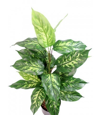 Dieffenbachia artificiel panaché