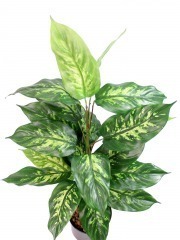 Acheter des Fausse plante Dieffenbachia LEXUAN, pot décoratif, vert, 30cm