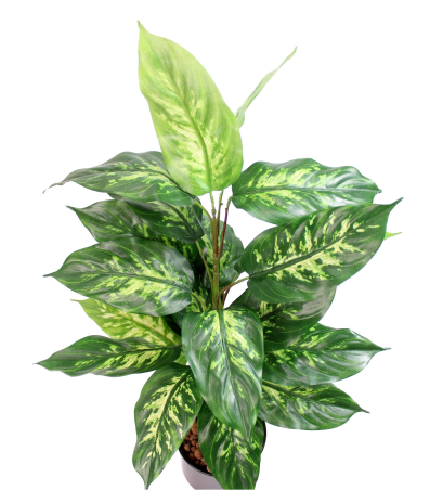 Dieffenbachia artificiel panaché