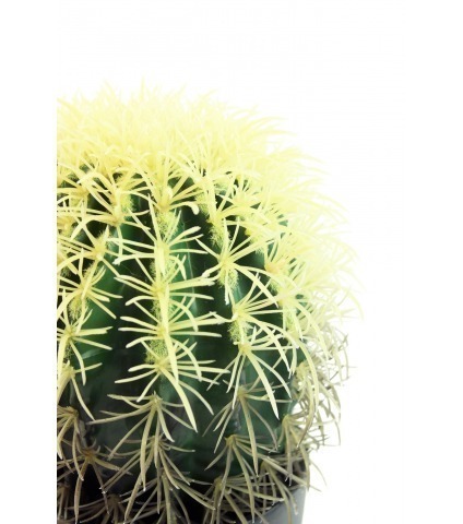 Coussin de belle-mère artificiel