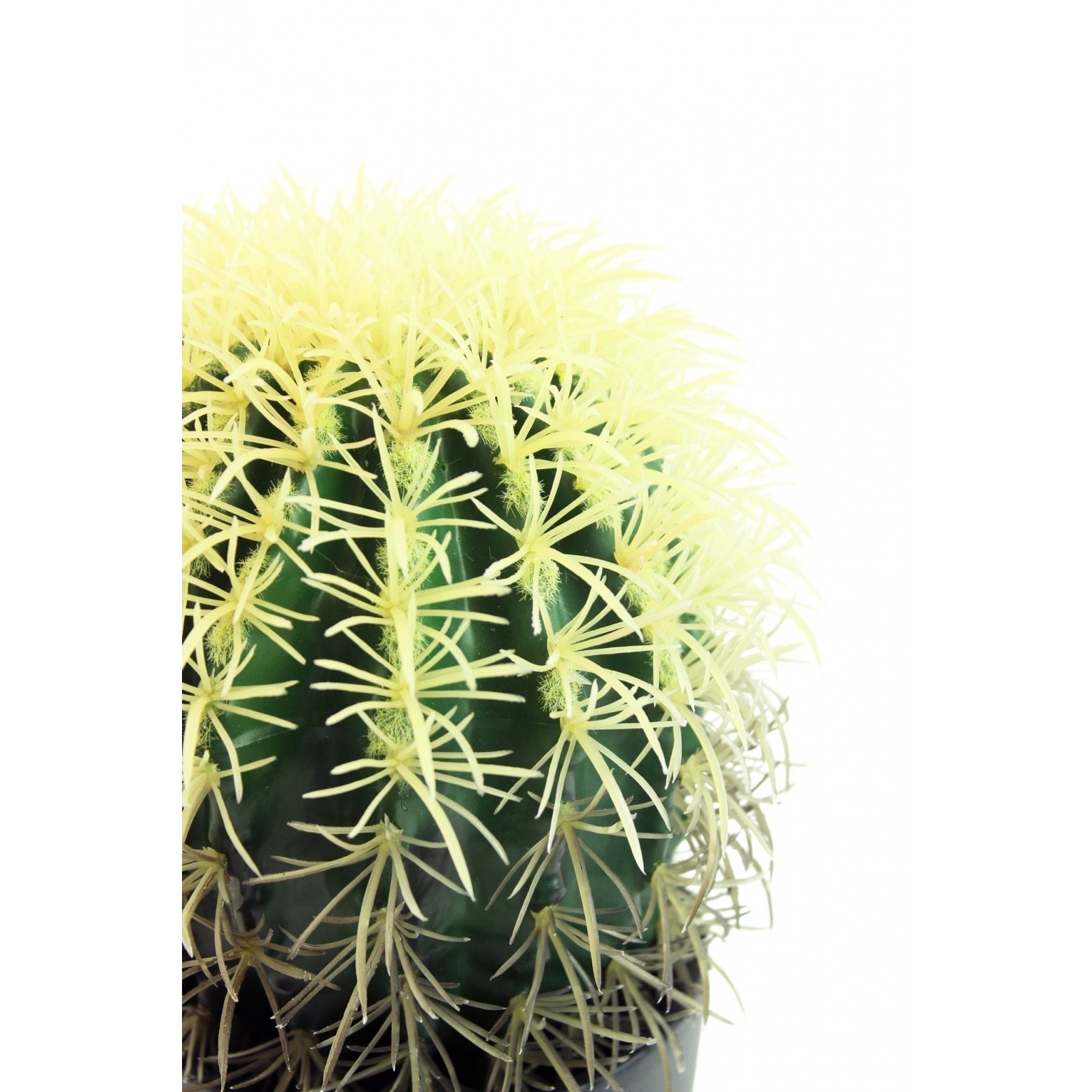 Coussin de bellemère artificiel 30 cm Cactus artificiels Artiplantes — free download